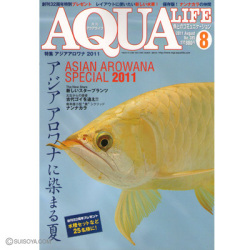アクアライフ