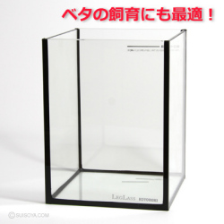 レグラスキューブ