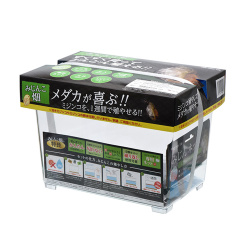 【簡単にミジンコが殖やせる！】みじんこ畑