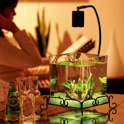 熱帯魚水槽 レガーロ ブロンズ REGALOレガーロ（水草つき）送料無料