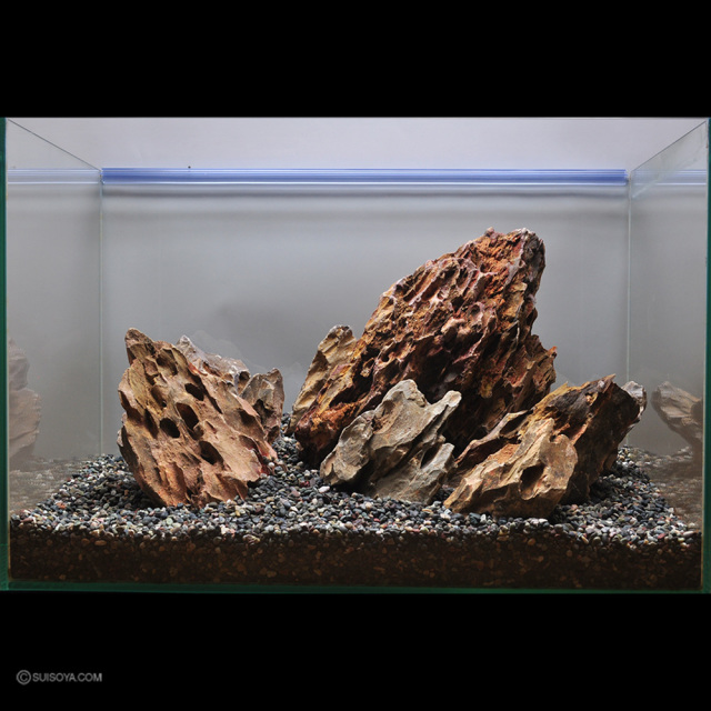 写真のセットをお届け】気孔石(キコウセキ)レイアウトセット 45～60cm 