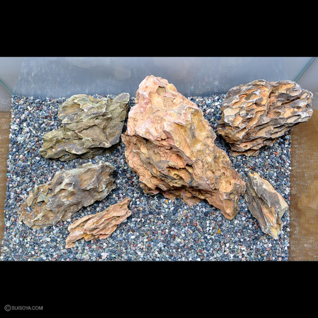 アクアリウム　流木　気孔石　60cmレイアウトセット　アク抜き済　沈下済　No1 アクアリウム 流木 気孔石 60cmレイアウトセット アク抜き済