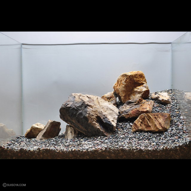 写真のセットをお届け】木化石(ボッカセキ)レイアウトセット 45～60cm