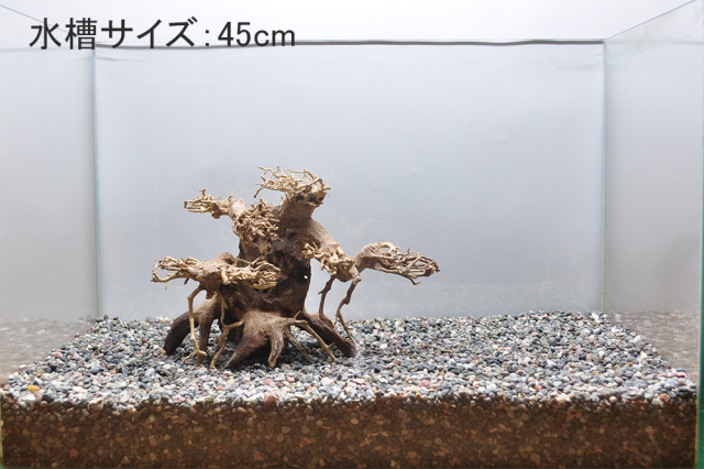 大幅値下げ　盆栽流木　幅25cm位　高さ20cm 大サイズ 盆栽流木 幅25cm位 高さ20cm 大サイズ 大幅値下げ 盆栽流木 幅25cm