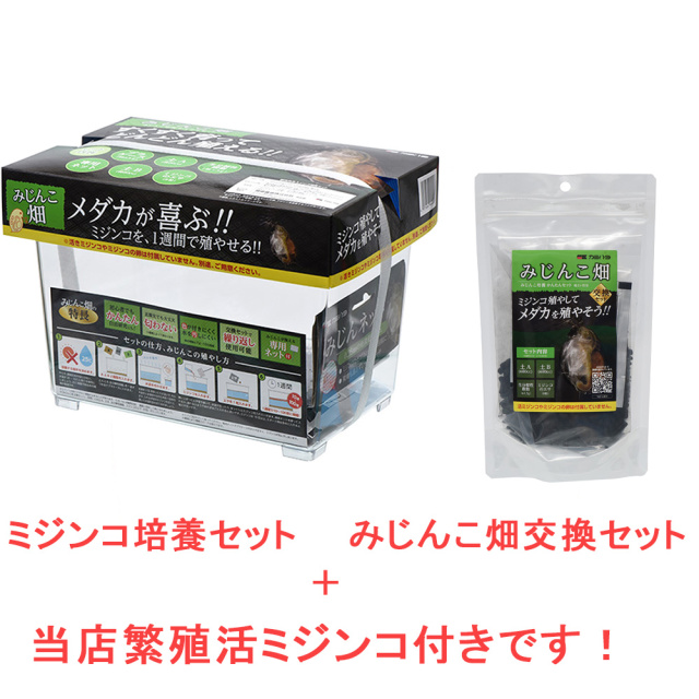 活ミジンコ付き】ミジンコ簡単飼育セット