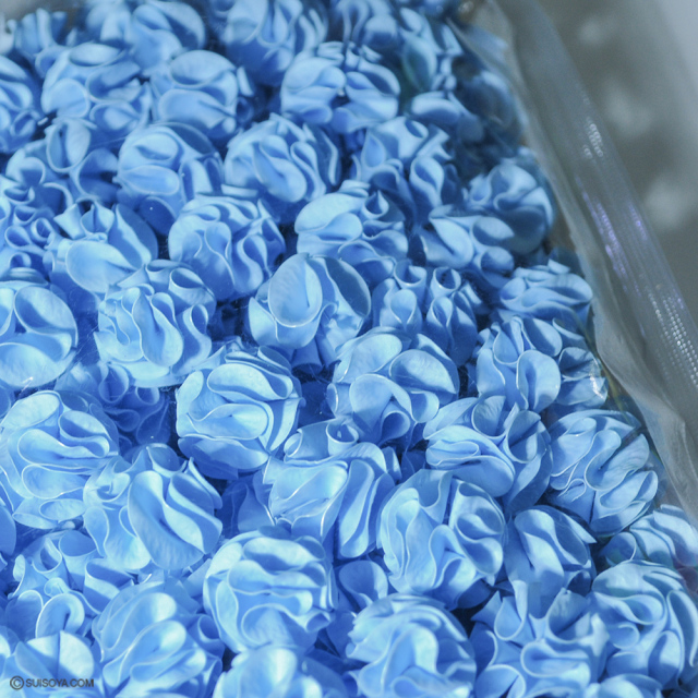 ろ材　キャビティ　16L Cavity Pro キャビティプロ