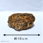 【植物植え込み用穴付き】吸水石 中