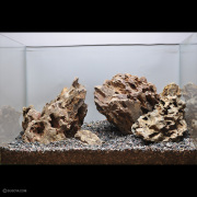 アクアリウム　流木　気孔石　60cmレイアウトセット　アク抜き済　沈下済　No1 アクアリウム 流木 気孔石 60cmレイアウトセット アク抜き済