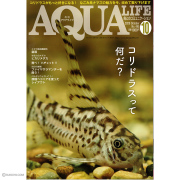 書籍（熱帯魚 図鑑）
