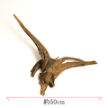 【写真の流木をお届け】ADA ホーンウッド  No.6