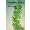 aquarium plants