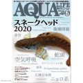 【スネークヘッド特集！】アクアリウム専門誌のアクアライフ6月号（2020年）