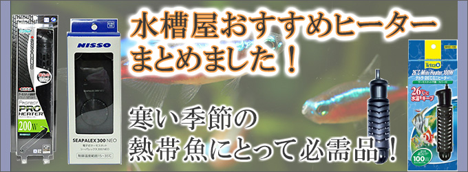 水槽屋.com │ 熱帯魚・水草とアクアリウム用品専門通販