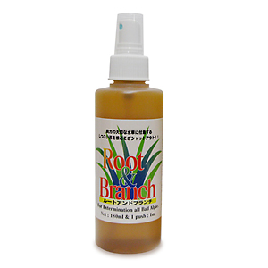 ルートアンドブランチ