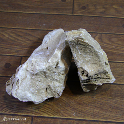 黄紋石（オウモンセキ）