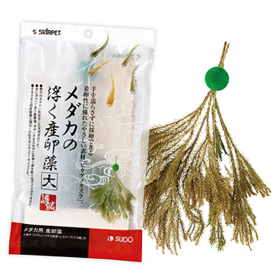 スドー メダカの浮く産卵藻（大）