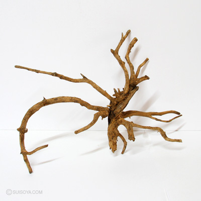 ブラックウエスタン