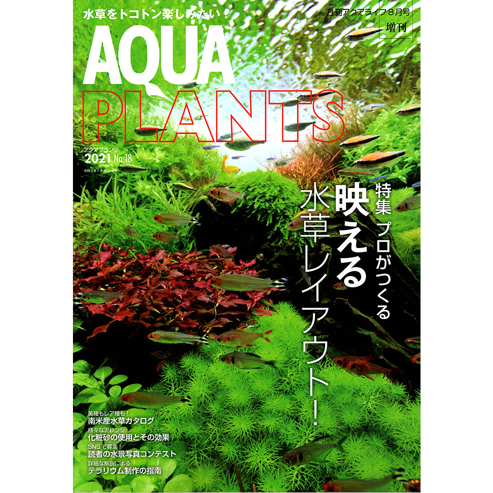 【水草レイアウト特集！】アクアリウム専門誌のアクアライフ８月号増刊（2021年）