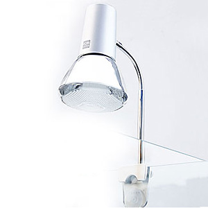 アクシーファインスポット