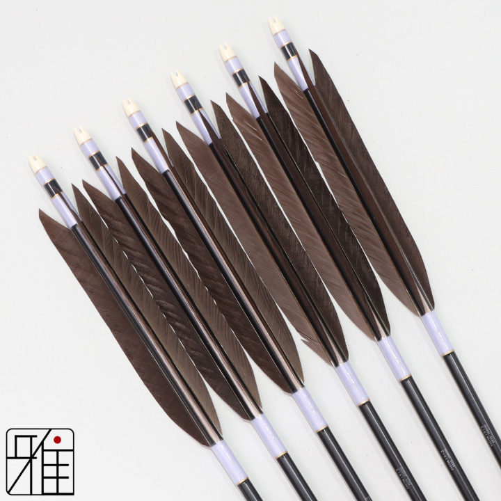 弓道 ジュラ矢 黒手羽 1913黒|6本組|矧糸:紫系|194008