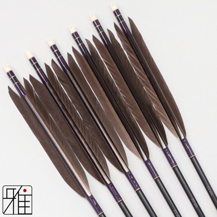 弓道 ジュラ矢 黒手羽 1913黒|6本組|矧糸:紫系|194011