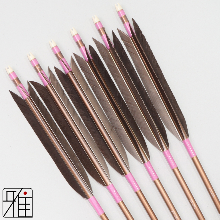 弓道 ジュラ矢 黒手羽 1913茶|6本組|矧糸:桃系|194025