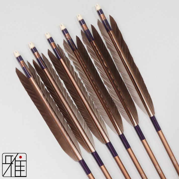 弓道 ジュラ矢 黒手羽 1913茶|6本組|矧糸:紫系|194027
