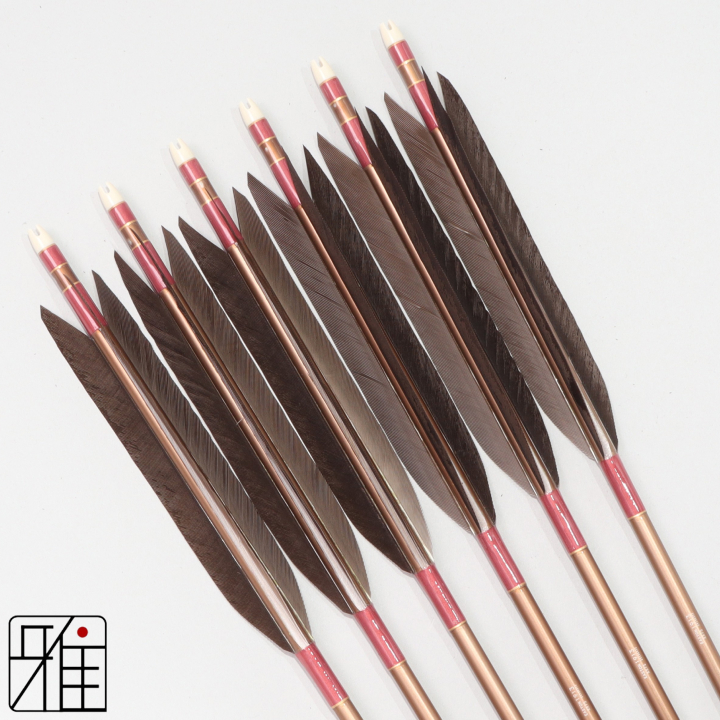 弓道 ジュラ矢 黒手羽 1913茶|6本組|矧糸:桃系|194029