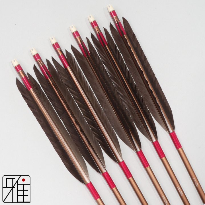 弓道 ジュラ矢 黒手羽 1913茶|6本組|矧糸:紫系|194030