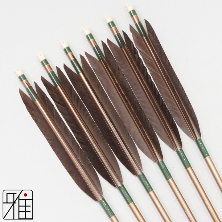 弓道 ジュラ矢 黒手羽 1913茶|6本組|矧糸:緑系|194031