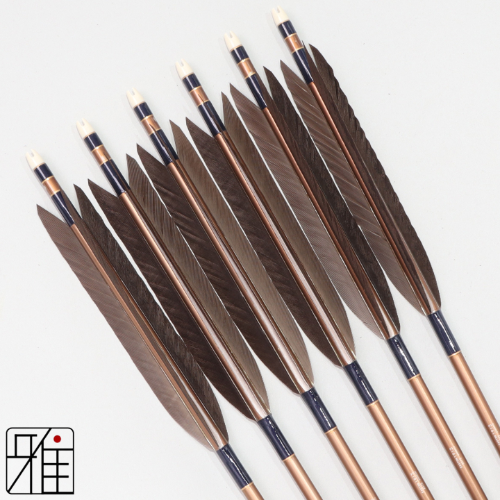 弓道 ジュラ矢 黒手羽 1913茶|6本組|矧糸:青系|194032