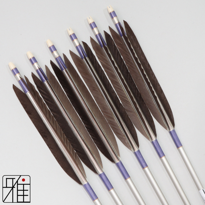 弓道 ジュラ矢 黒手羽 1913シルバー|6本組|矧糸:紫系|194039