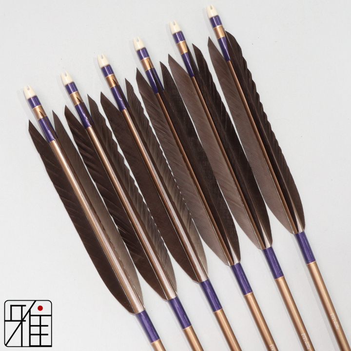 弓道 ジュラ矢 黒手羽 1913茶|6本組|矧糸:紫系|194050