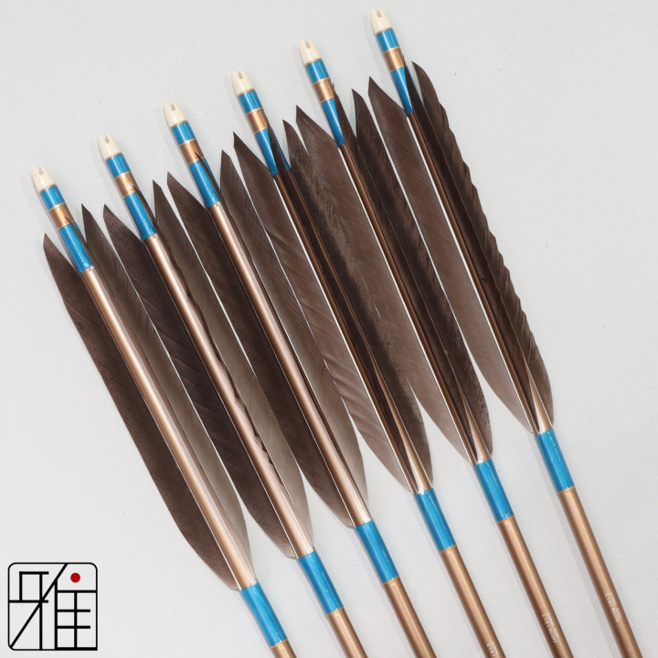 弓道 ジュラ矢 黒手羽 1913茶|6本組|矧糸:青系|194052