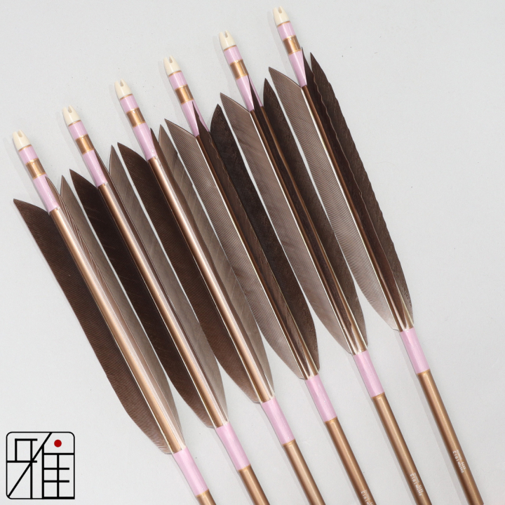 弓道 ジュラ矢 黒手羽 1913茶|6本組|矧糸:桃系|194053
