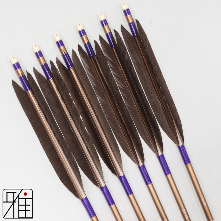 弓道 ジュラ矢 黒手羽 1913茶|6本組|矧糸:紫系|194054