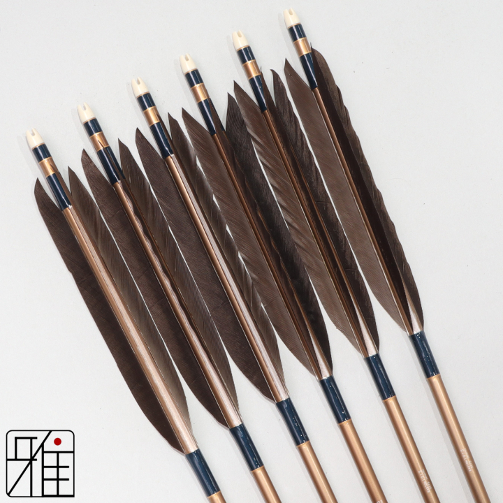 弓道 ジュラ矢 黒手羽 1913茶|6本組|矧糸:青系|194055