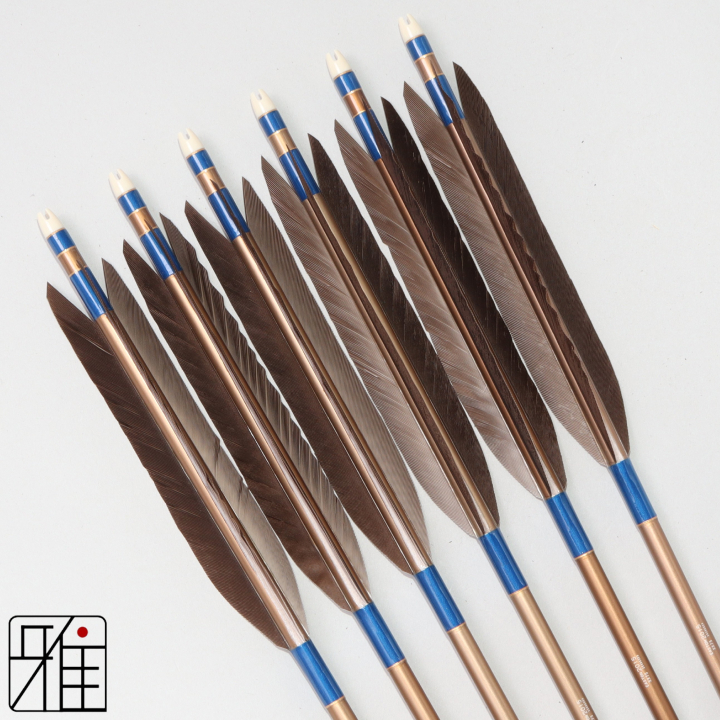 弓道 ジュラ矢 黒手羽 2015茶|6本組|矧糸:青系|201014
