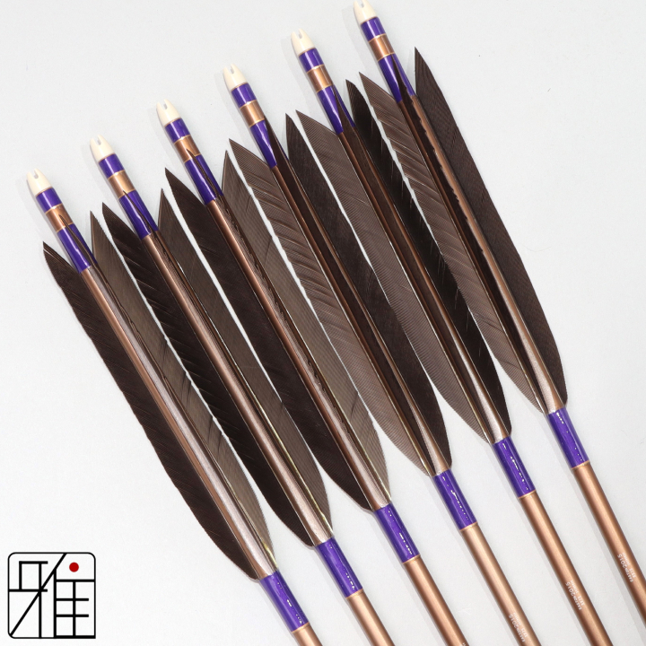 弓道 ジュラ矢 黒手羽 2015茶|6本組|矧糸:紫系|201016