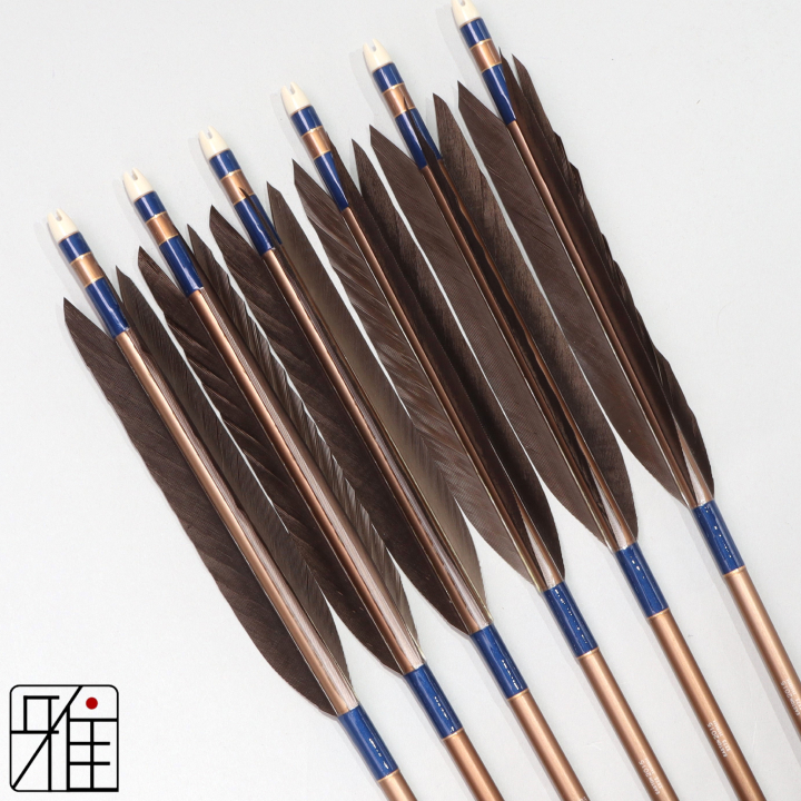 弓道 ジュラ矢 黒手羽 2015茶|6本組|矧糸:青系|201018