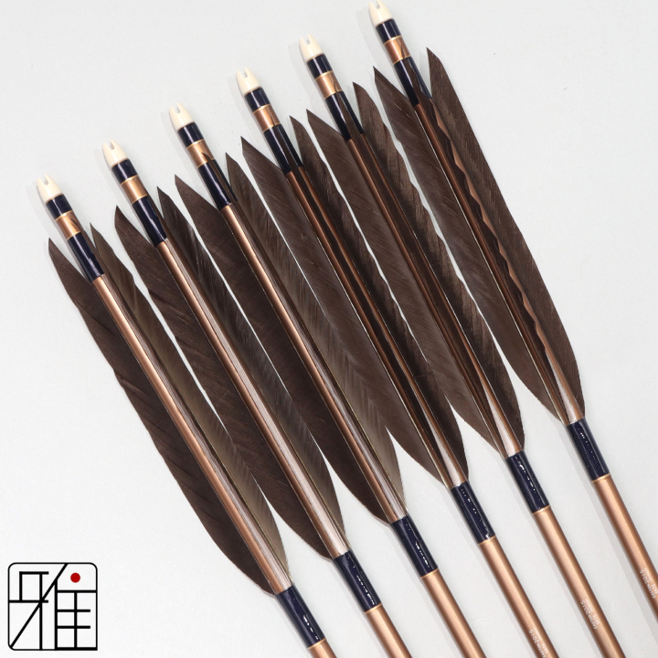 弓道 ジュラ矢 黒手羽 2015茶|6本組|矧糸:青系|201020