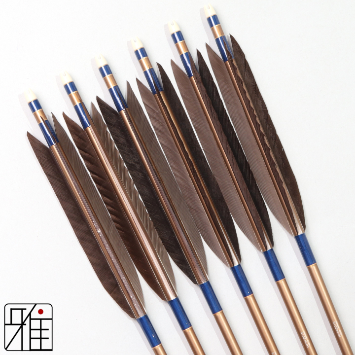 弓道 ジュラ矢 黒手羽 2015茶|6本組|矧糸:青系|201033