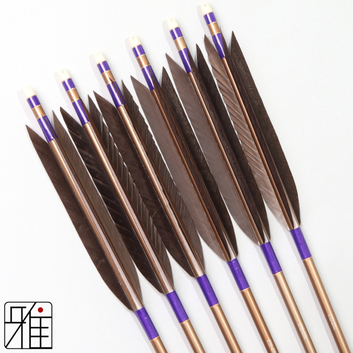 弓道 ジュラ矢 黒手羽 2015茶|6本組|矧糸:紫系|201036