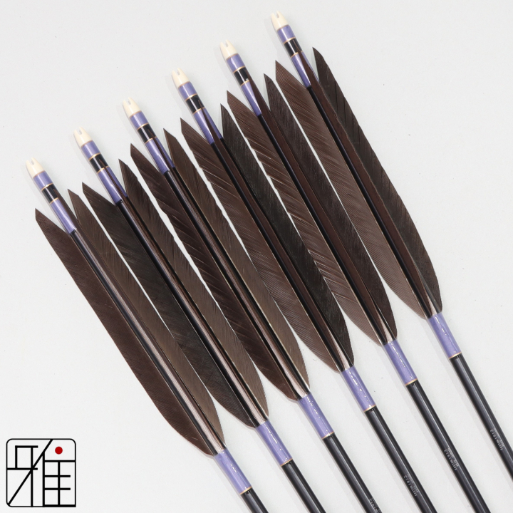 弓道 ジュラ矢 黒尾羽 1913黒|6本組|矧糸:紫系|194502