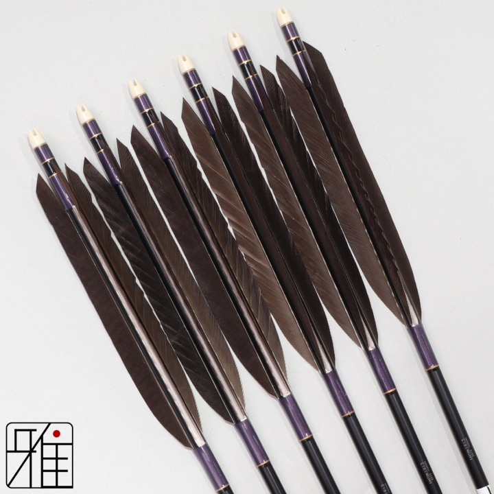 弓道 ジュラ矢 黒尾羽 1913黒|6本組|矧糸:紫系|194517