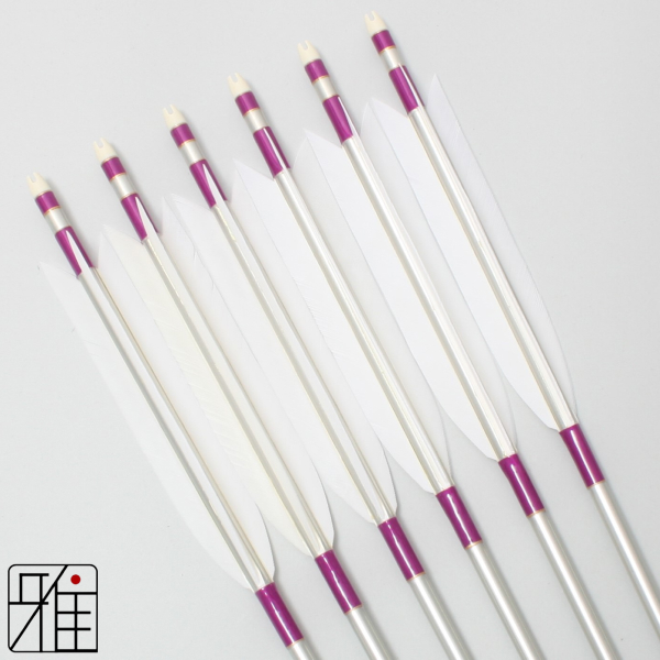 弓道 ジュラ矢 ターキー白羽 1913シルバー|6本組|矧糸:紫系|19301