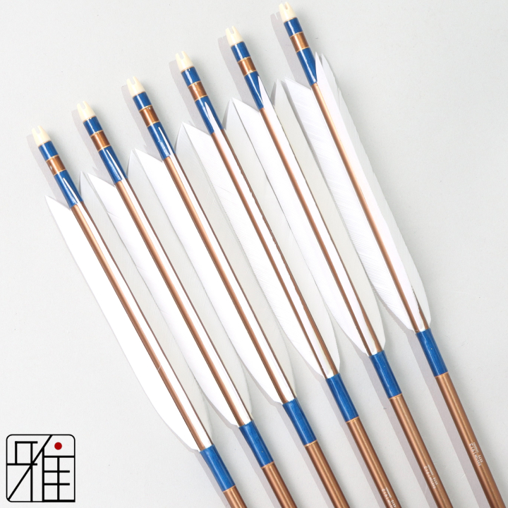 弓道 ジュラ矢 ターキー白羽 1913茶|6本組|矧糸:青系|195048