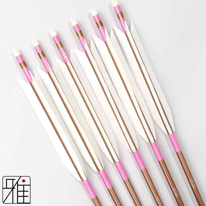 弓道 ジュラ矢 ターキー白羽 1913茶|6本組|矧糸:桃系|195056