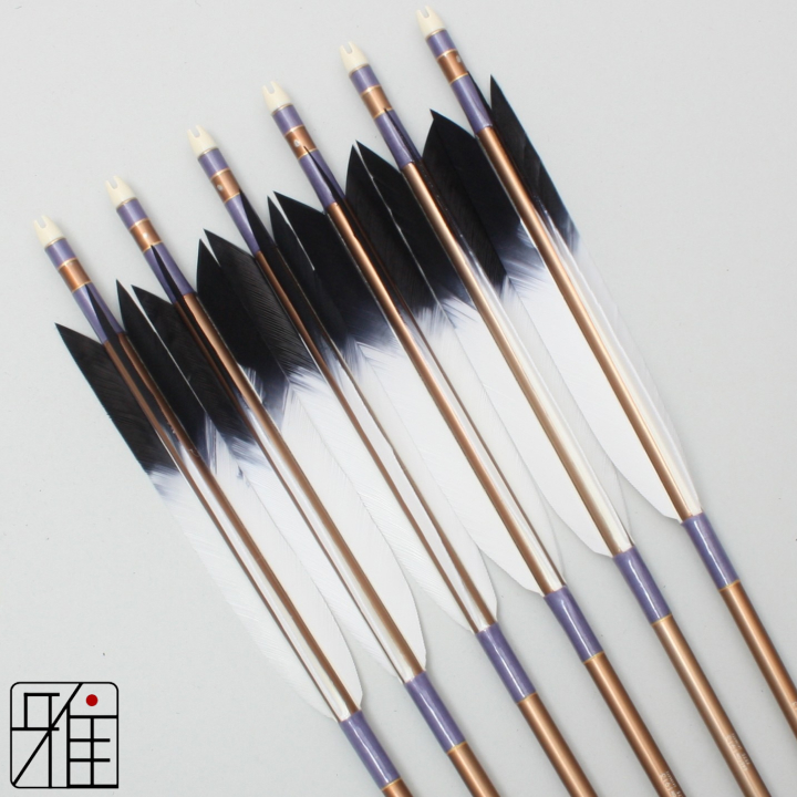 弓道 ジュラ矢 ターキー先黒染羽 1913茶|6本組|矧糸:紫系|19362