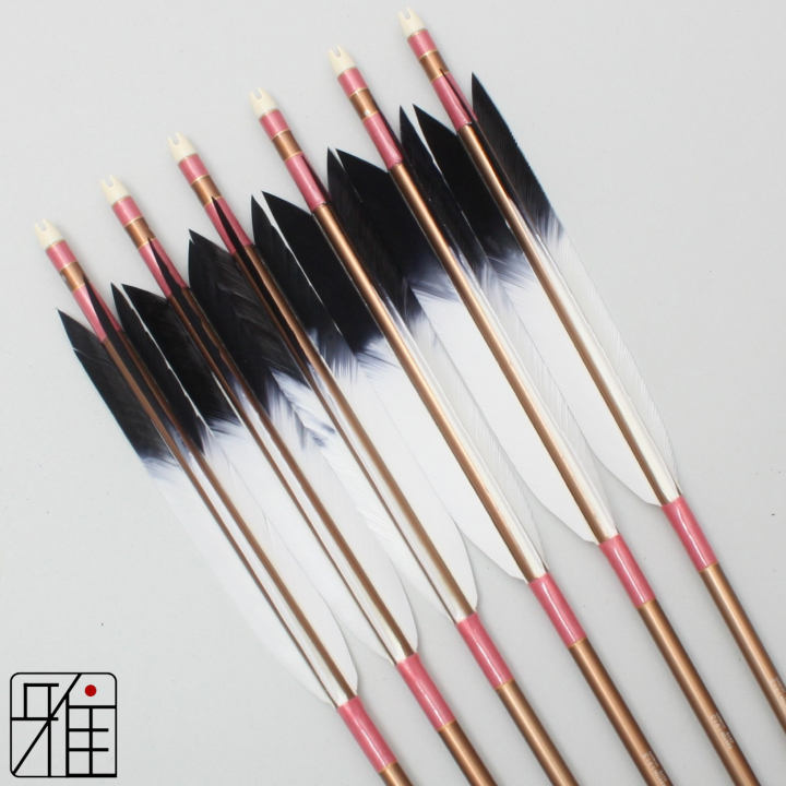 弓道 ジュラ矢 ターキー先黒染羽 1913茶|6本組|矧糸:桃系|19365